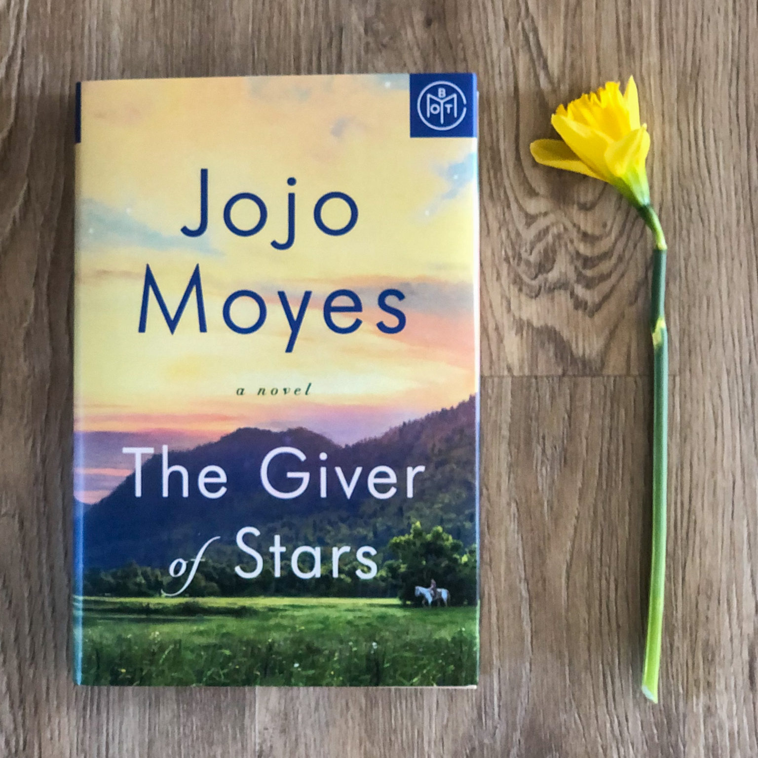 book review the giver of stars